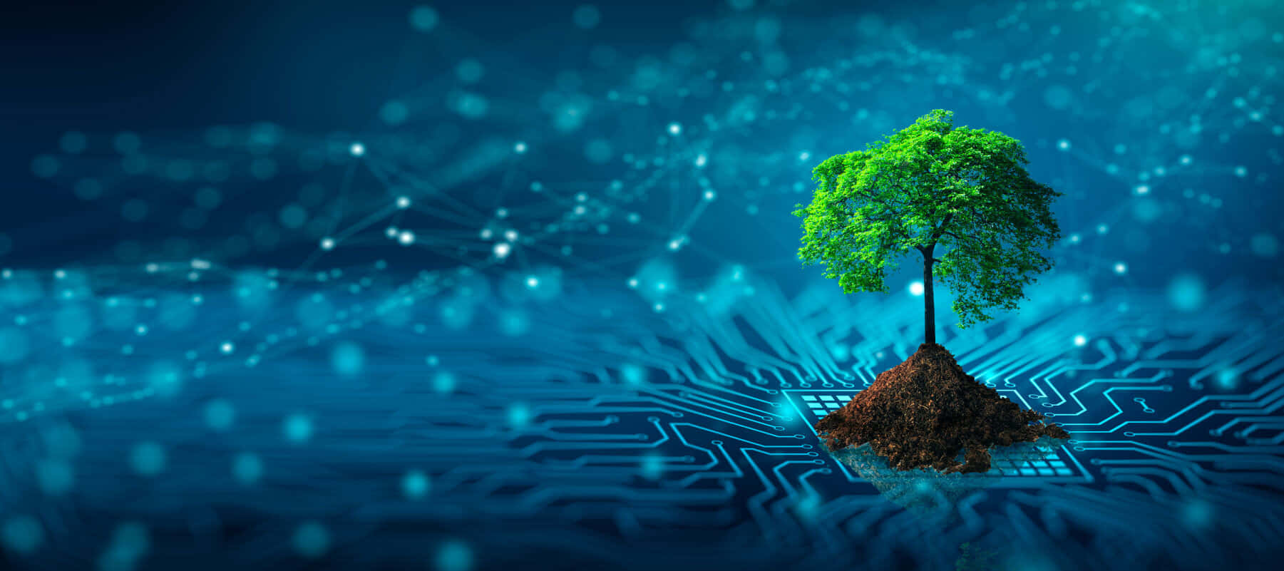 Sustainable IT Isn’t a Buzzword. It’s a Business Imperative